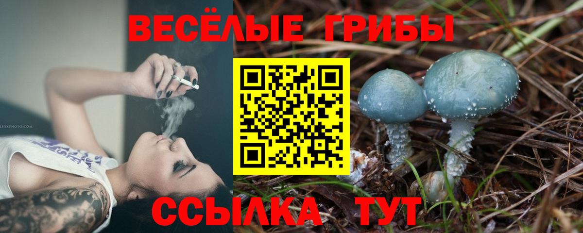 Псилоцибиновые грибы Psilocybe  Псилоцибиновые грибы Psilocybine cubensis  Вход с VPN  Грозный 